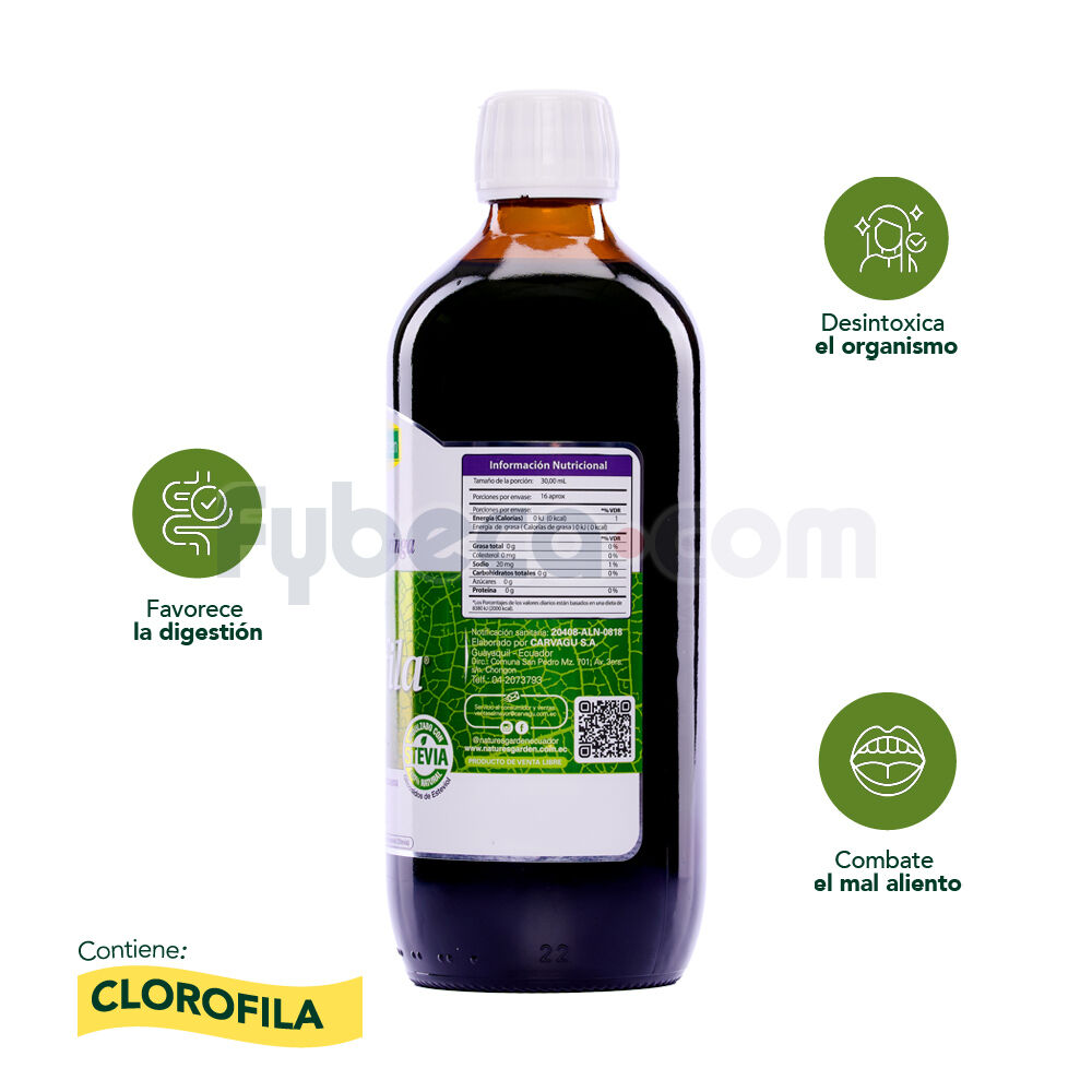Chlorophyll