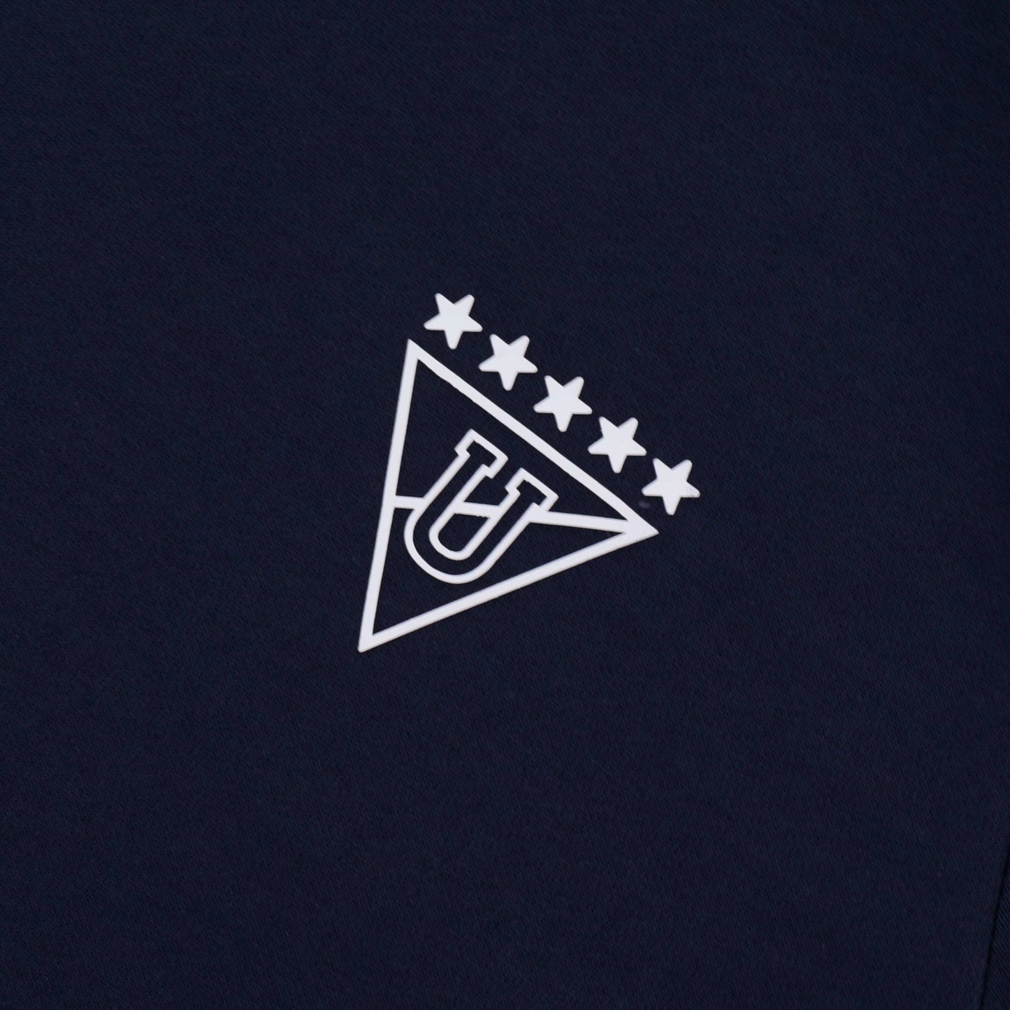 Puma Buzo Hincha LDU 2025