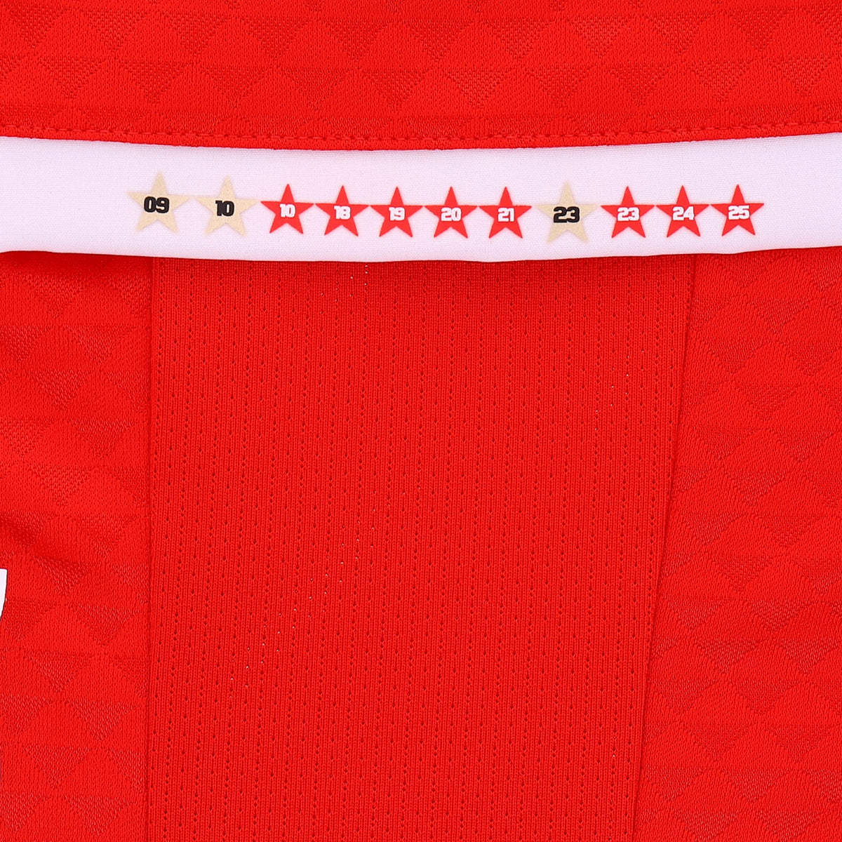 Puma Camiseta LDU Mes del Hincha 2026